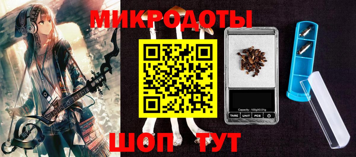 Псилоцибиновые грибы Psilocybine cubensis Королёв