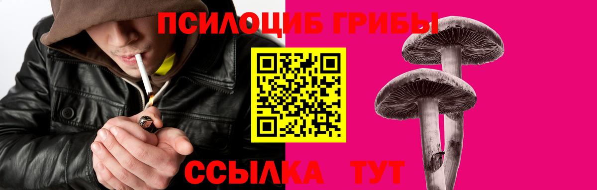 Королёв  магазин продажи   Вход с VPN  Галлюциногенные грибы GOLDEN TEACHER 